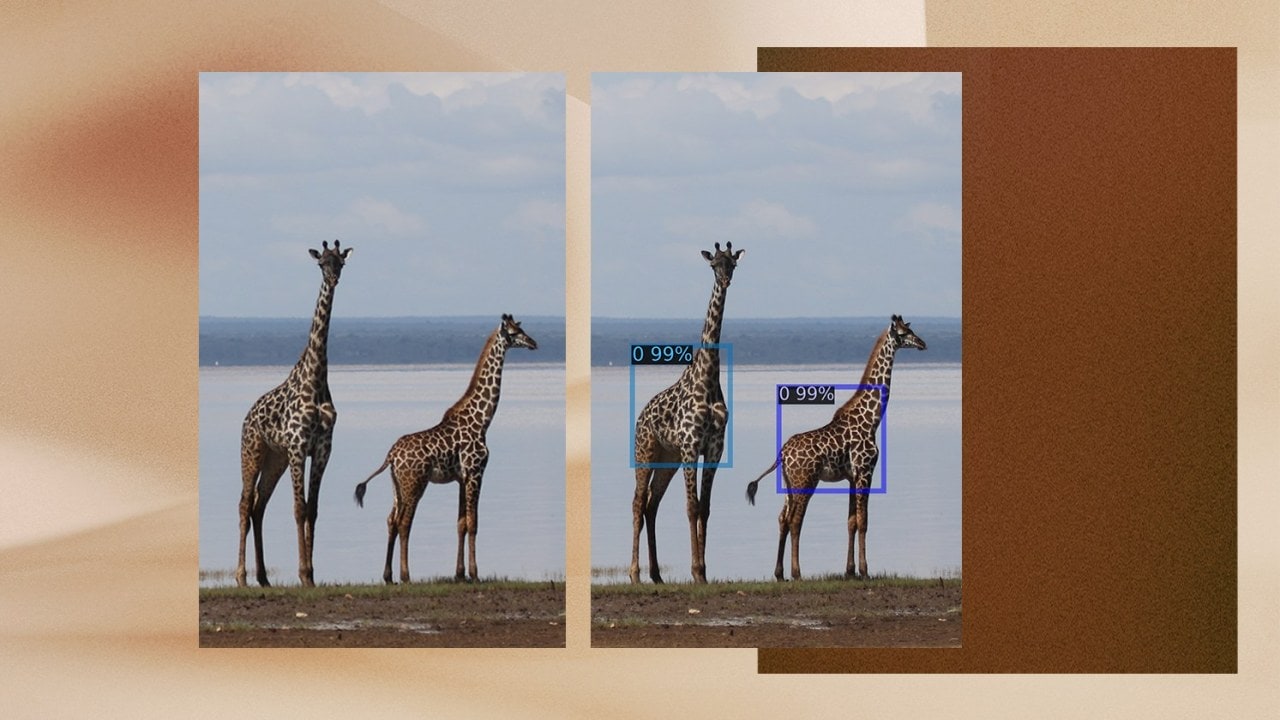 Microsoft Launches Open-Source GIRAFFE Tool to Help Save Tanzania’s Endangered Giraffes: A Look at AI-Powered Conservation